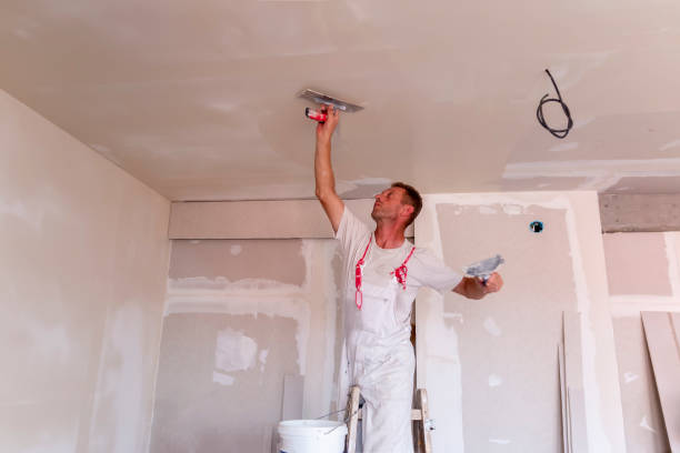 Best Ceiling Drywall Installation  in Middle River, MD